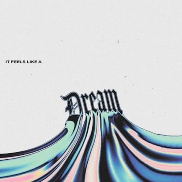 Meet your Posher, Dexter - Picture 1 of 1